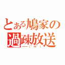 とある鳩家の過疎放送（━━（°∞°））