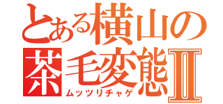 とある横山の茶毛変態Ⅱ（ムッツリチャゲ）