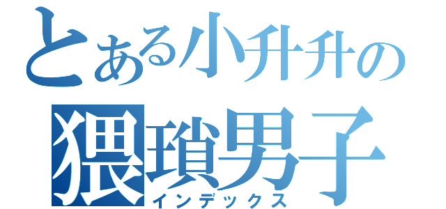 とある小升升の猥瑣男子（インデックス）