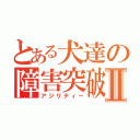 とある犬達の障害突破Ⅱ（アジリティー）