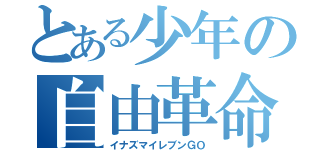 とある少年の自由革命（イナズマイレブンＧＯ）