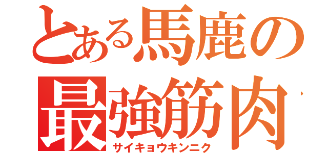 とある馬鹿の最強筋肉（サイキョウキンニク）