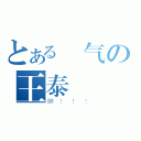 とある帥气の王泰（帥！！！）