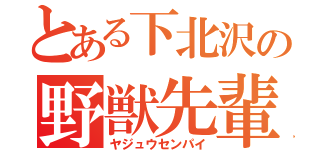 とある下北沢の野獣先輩（ヤジュウセンパイ）