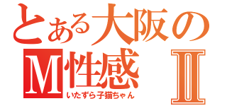 とある大阪のＭ性感Ⅱ（いたずら子猫ちゃん）