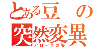 とある豆の突然変異（アローラの姿）