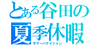 とある谷田の夏季休暇（サマーバケイション）