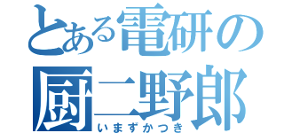 とある電研の厨二野郎（いまずかつき）