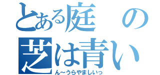 とある庭の芝は青い（ん～うらやましいっ）