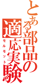 とある部品の適応実験Ⅱ（モルモット）