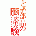 とある部品の適応実験Ⅱ（モルモット）