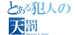 とある犯人の天罰（Ｔｈｅ ｗｒａｔｈ ｏｆ Ｈｅａｖｅｎ）