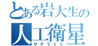 とある岩大生の人工衛星（サテライト）