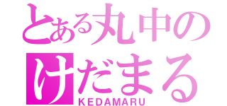 とある丸中のけだまる（ＫＥＤＡＭＡＲＵ）