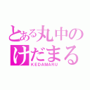 とある丸中のけだまる（ＫＥＤＡＭＡＲＵ）