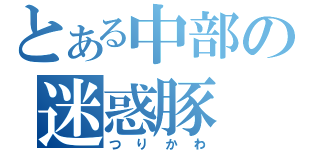 とある中部の迷惑豚（つりかわ）