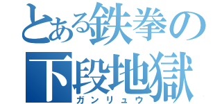 とある鉄拳の下段地獄（ガンリュウ）