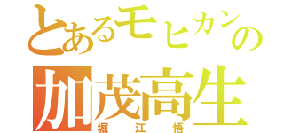 とあるモヒカンの加茂高生（堀江悟）