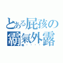 とある屁孩の霸氣外露（嗚喔喔喔喔）