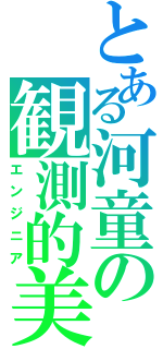 とある河童の観測的美学（エンジニア）