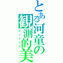 とある河童の観測的美学（エンジニア）