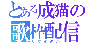 とある成猫の歌枠配信（リサイタル）