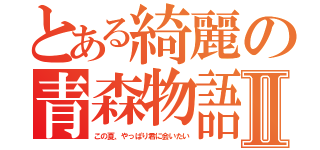 とある綺麗の青森物語Ⅱ（この夏、やっぱり君に会いたい）