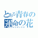 とある青春の運命の花菜（インデックス）