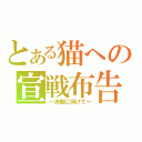 とある猫への宣戦布告（～決戦に向けて～）