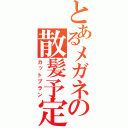 とあるメガネの散髪予定（カットプラン）