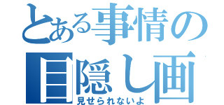 とある事情の目隠し画像（見せられないよ）