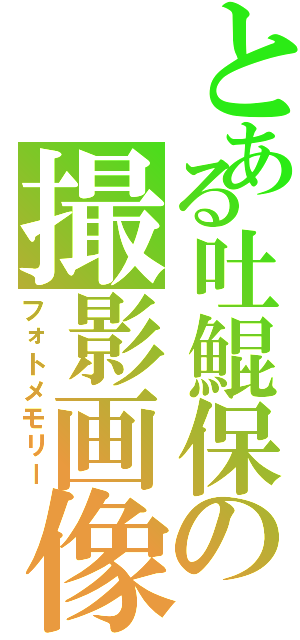 とある吐鯤保の撮影画像（フォトメモリー）