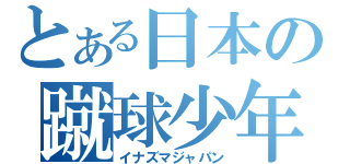 とある日本の蹴球少年（イナズマジャパン）