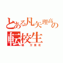 とある凡矢理高校の転校生（橘 万里花）