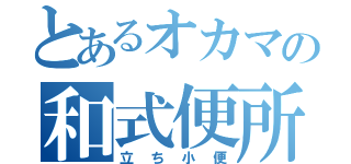 とあるオカマの和式便所（立ち小便）