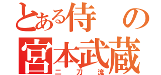 とある侍の宮本武蔵（二刀流）