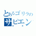 とあるゴリラのサピエンス（友田）