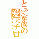 とある家族の愛犬チロ（自爆テロ）