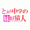 とある中学の妹好猿人（だっちゃん）