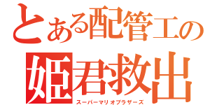 とある配管工の姫君救出（スーパーマリオブラザーズ）