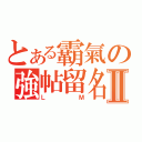 とある霸氣の強帖留名Ⅱ（ＬＭ）