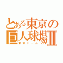 とある東京の巨人球場Ⅱ（東京ドーム）