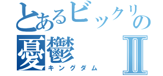 とあるビックリフェアリーの憂鬱Ⅱ（キングダム）