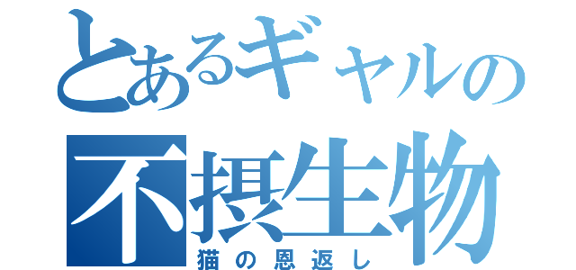 とあるギャルの不摂生物語（猫の恩返し）