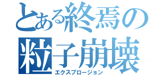 とある終焉の粒子崩壊（エクスプロージョン）