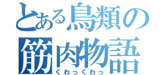 とある鳥類の筋肉物語（くわっくわっ）