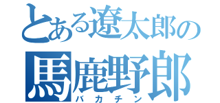 とある遼太郎の馬鹿野郎（バカチン）