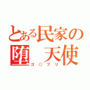 とある民家の堕 天使（ゴ○ブリ）