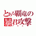 とある覇竜の暴君攻撃（アカム）