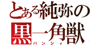 とある純弥の黒一角獣（バンシィ）